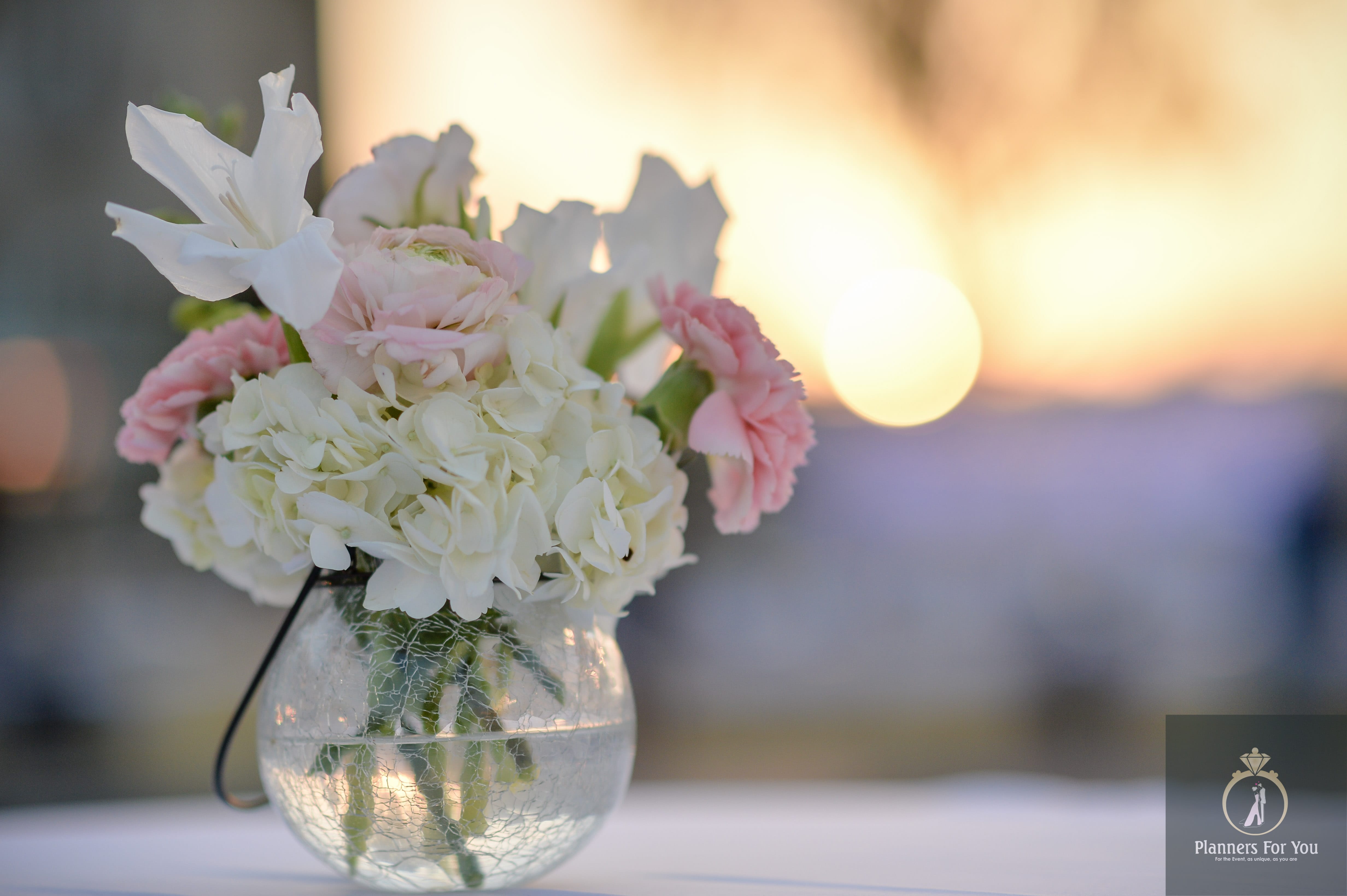 Best Wedding Planner in Udaipur