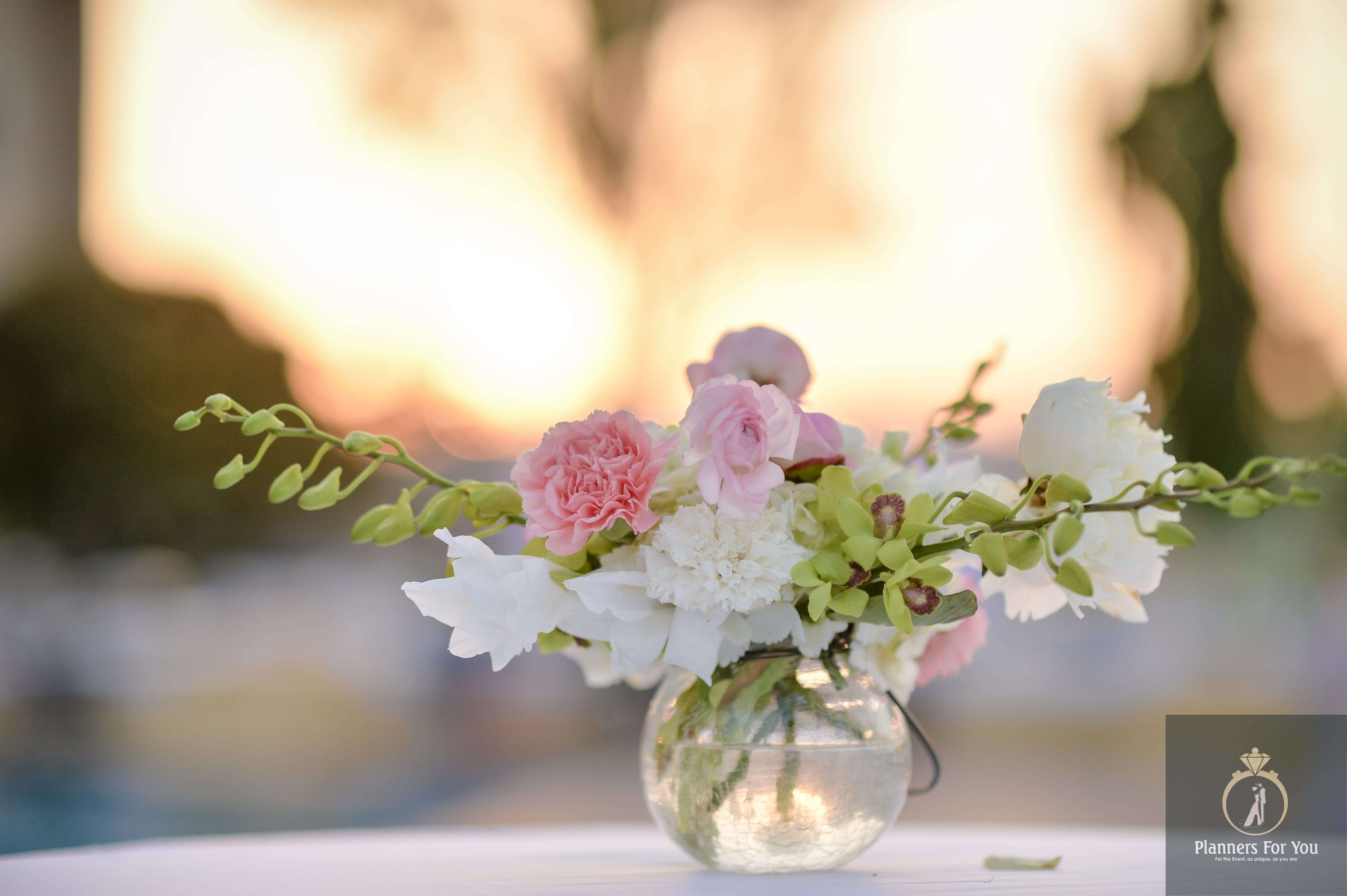 Wedding Catering Service in Udaipur