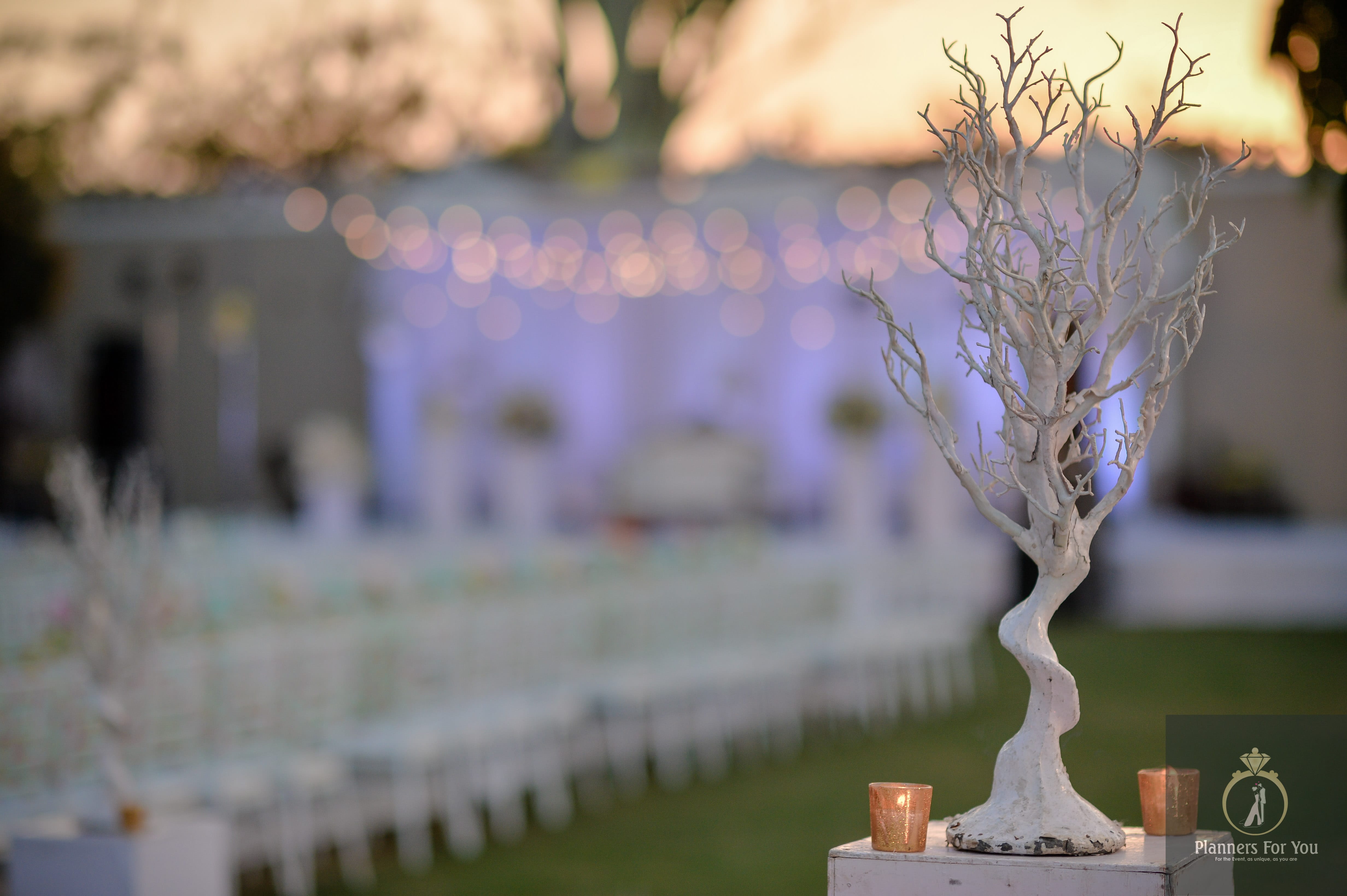 Event Management Company in Udaipur